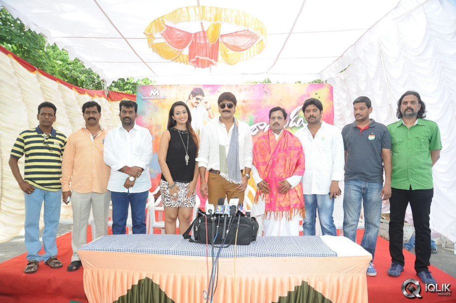 Jalsa-Rayudu-Movie-Opening